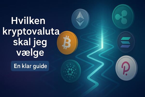 Hvilken kryptovaluta skal jeg vælge? en klar guide til de bedste kryptovalutaer